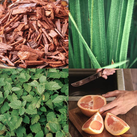 Collage of wood chips, grass, green leaves, and a person cutting a grapefruit.
