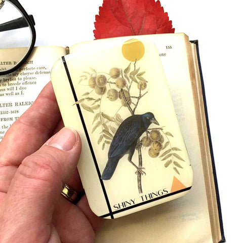 Crow Shiny Things Tin