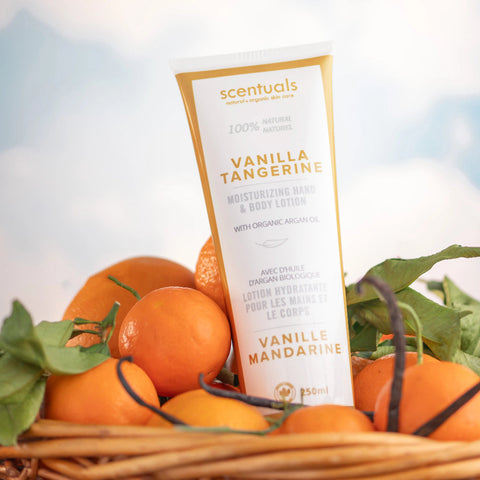 Scentuals Vanilla Tangerine lotion with oranges in a basket