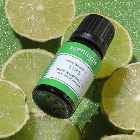 Bottle of Scentuals Lime essential oil surrounded by lime slices on a green glittery background