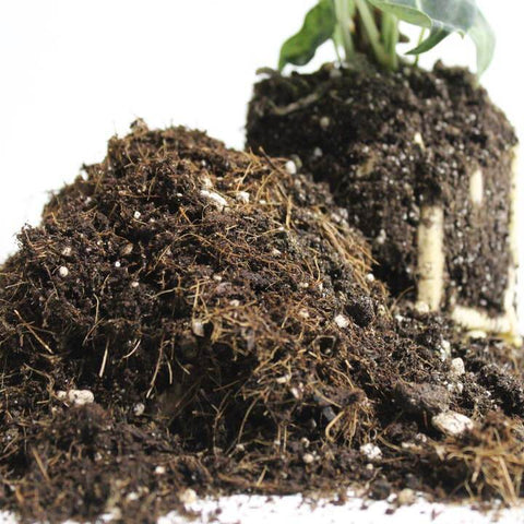General Blend-Potting Soil For Indoor Plants
