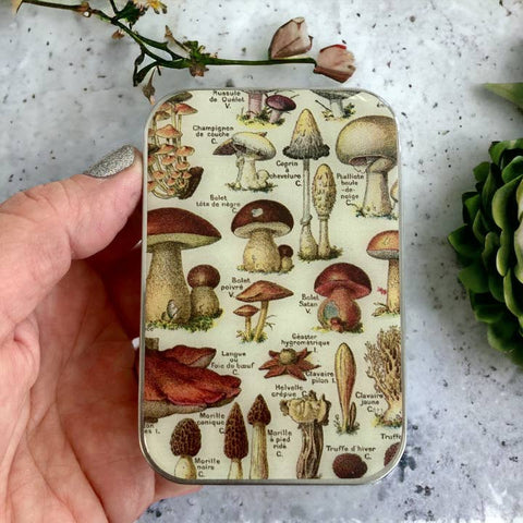 Mushroom Storage Tin – Firefly Notes | Handmade in Canada
