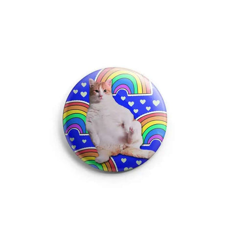 Fat Cat Rainbow Pin