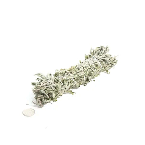 Wormwood Smudging Stick