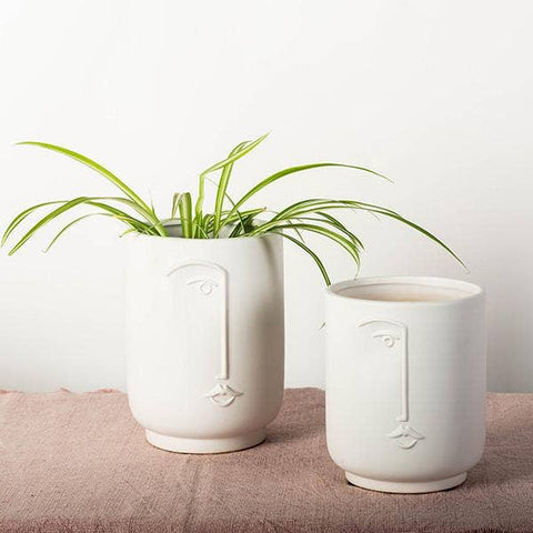 Flower Pot with A Face