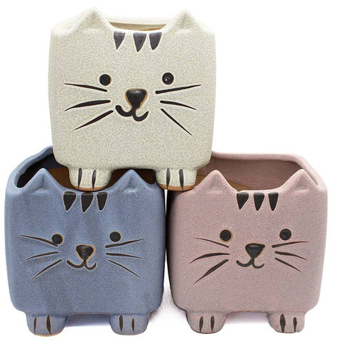 Little Cats Planter