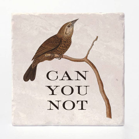 Bird illustration on a branch with text 'CAN YOU NOT' on a textured background