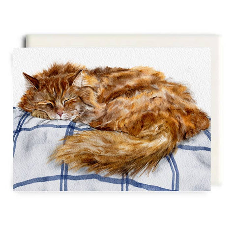 Sleeping cat on a checkered blanket with a white border
