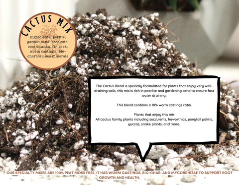 Cactus Blend-Potting Soil For Indoor Plants