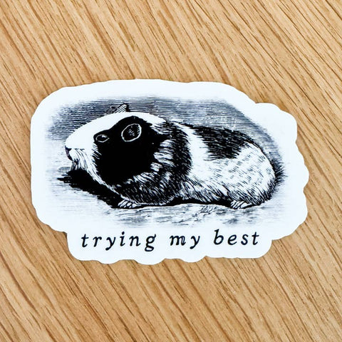 Sticker of a guinea pig with 'trying my best' text on a wooden surface