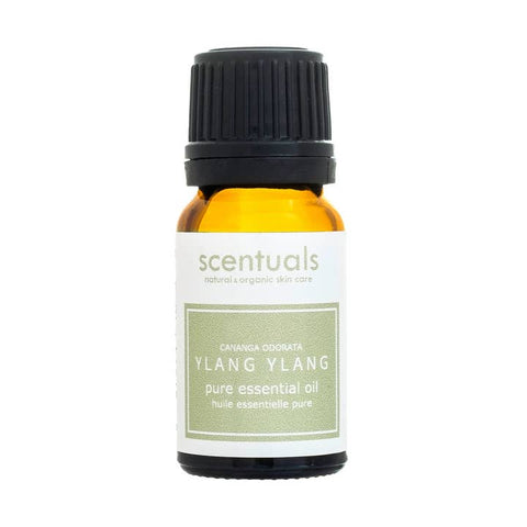 Ylang Ylang Essential Oil