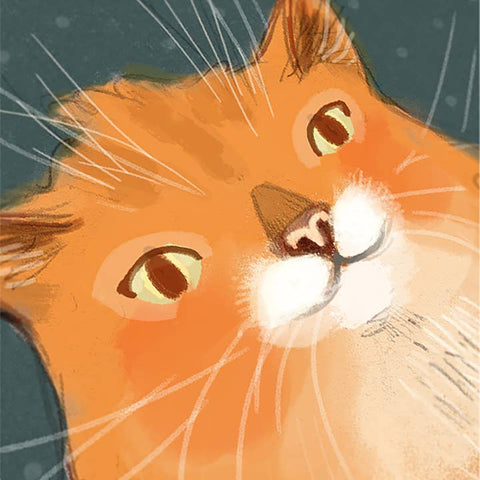 Illustration of a cat's face with a dark background