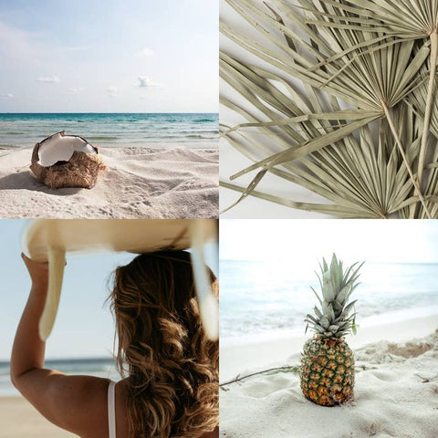 Collage of images including a shell on sand, palm leaves, a woman holding a dog, and a pineapple on the beach.