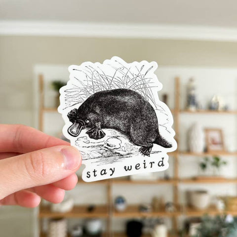 Hand holding a sticker with a platypus illustration and 'stay weird' text in a blurred indoor setting.