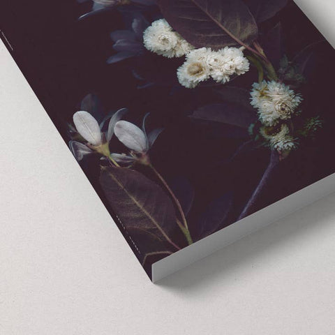 Raoul & Simone - Notebook / Nocturne