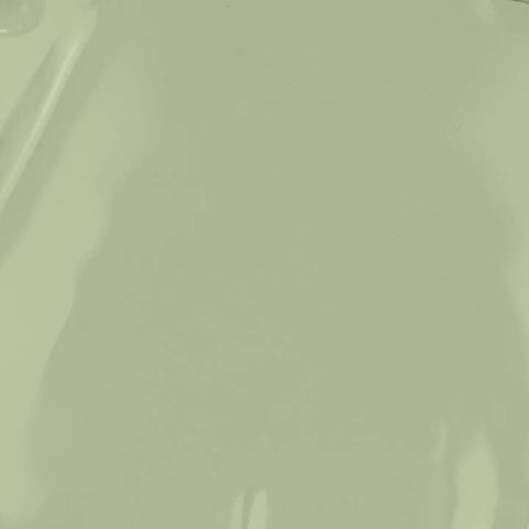 Solid light green color swatch