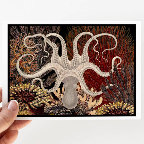 Illustration of an octopus with underwater plants held by a hand