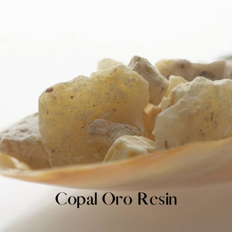 Close-up of Copal Oro Resin with a white background