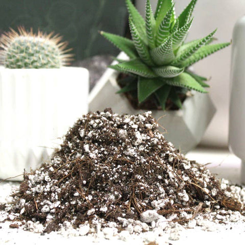 Cactus Blend-Potting Soil For Indoor Plants