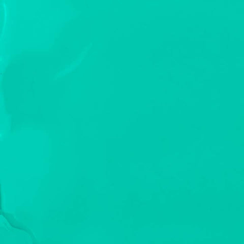 Vegan & 21-free Nail Polish - Tampa