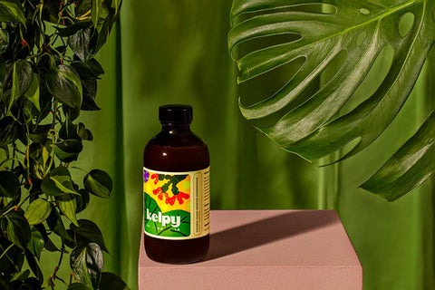 Kelpy bottle on a pink surface with green leaves in the background