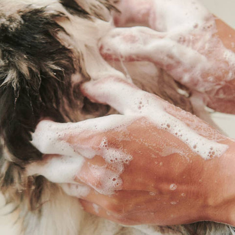 Person washing their hair with soapy hands
