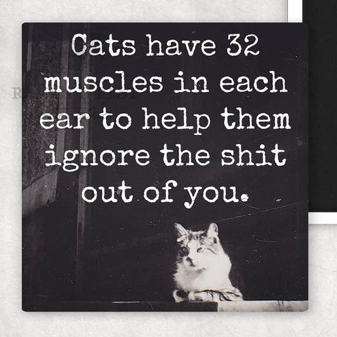 Cats Have 32 Muscles in Each Ear Magnet