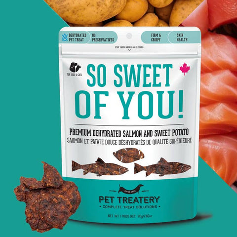 Pet treat package with salmon and sweet potato imagery on a teal background