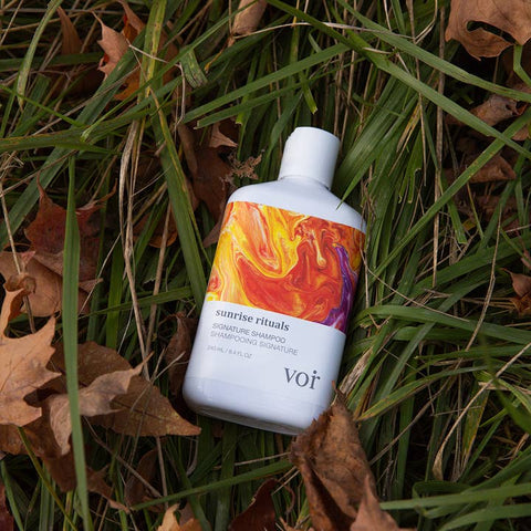 Shampoo bottle with colorful label on grass and leaves