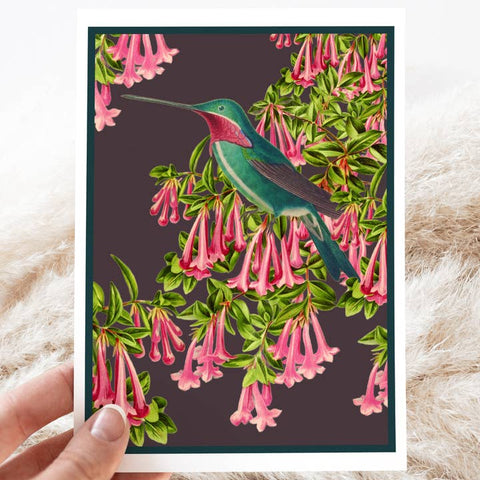Illustration of a hummingbird and pink flowers on a dark background