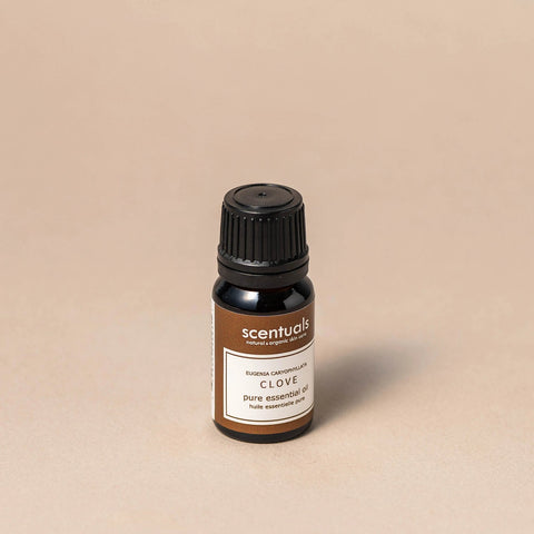 Clove Essential Oil Vancouver