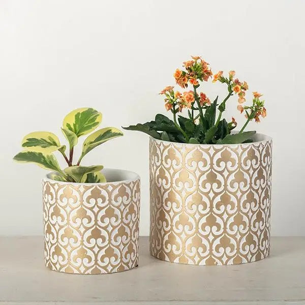 Gold/White French Style Pot (Set of 2)