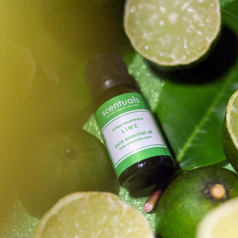 Bottle of Scentuals lime essential oil surrounded by lime slices on green leaves
