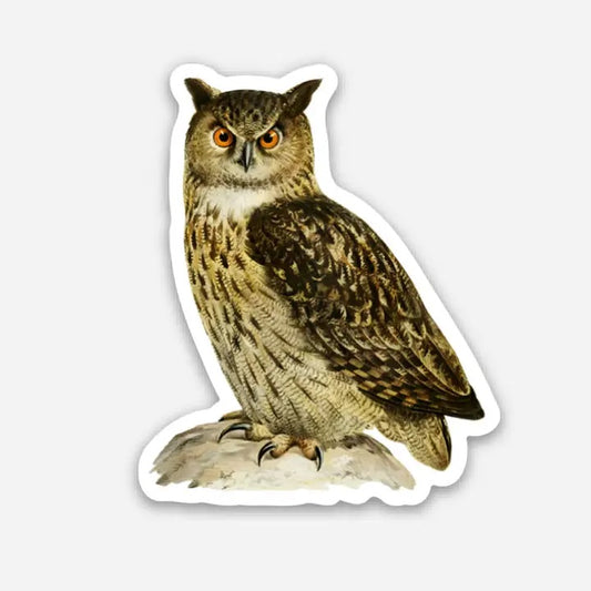 Stay Home Club - Owl Sticker
