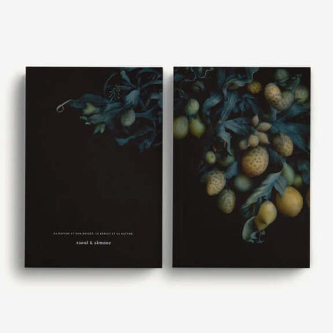 Notebook / Fucus Vesiculosus