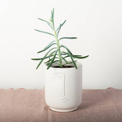 Flower Pot with A Face