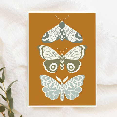 Three stylized butterfly illustrations on a brown background with a white fabric and green leaves in the background.
