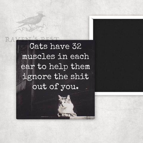 Cats Have 32 Muscles in Each Ear Magnet