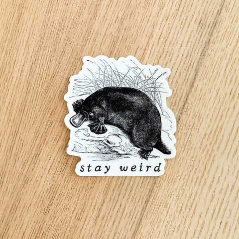 Sticker with a platypus illustration and 'stay weird' text on a wooden surface
