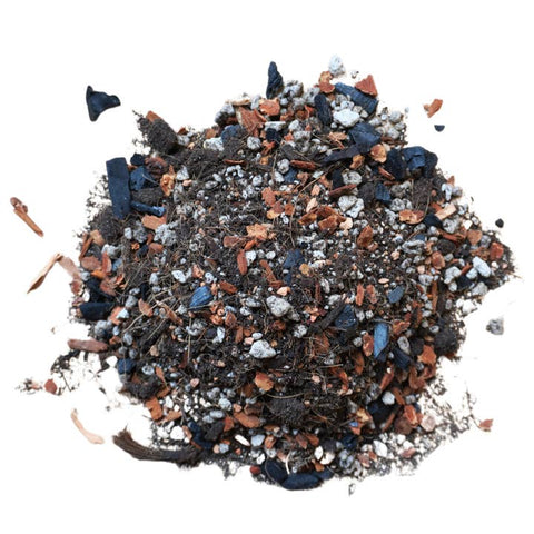 Bonsai Soil Blend – Indoor & Deciduous Trees - Soil - Maya Growing Mediums