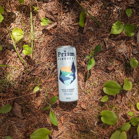 Boreal Blueberry Canadian kombucha with wild-foraged botanicals