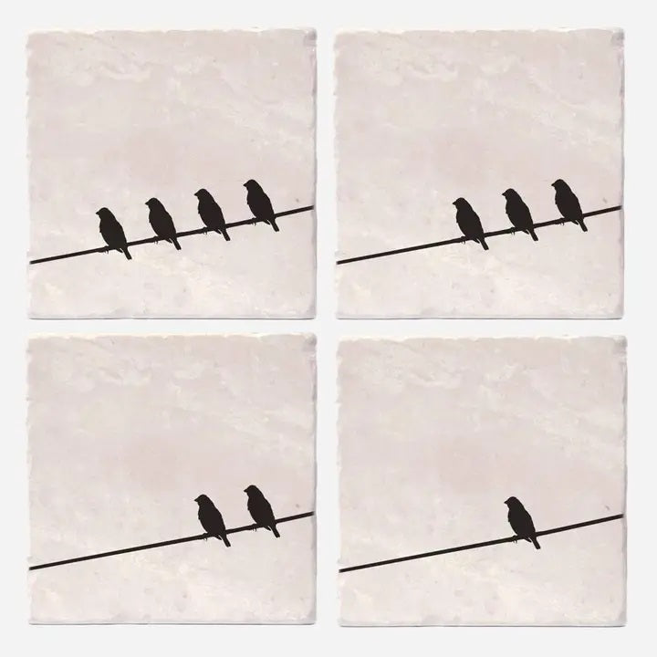 Crows Bird on a Wire Coasters (Set of 4) 