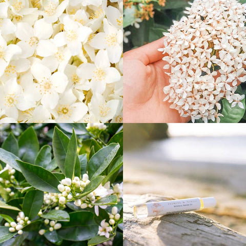Collage of white flowers, a hand holding flowers, green leaves, and a product on a wooden surface.