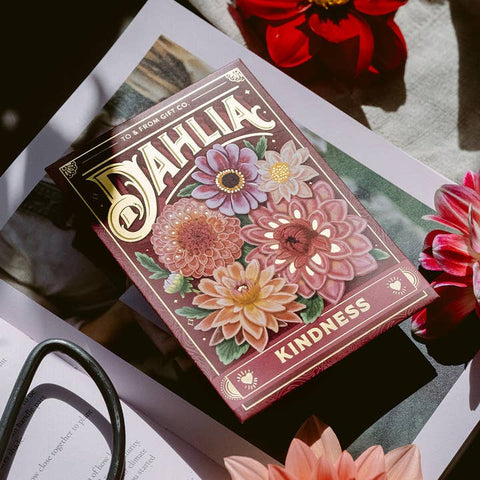 Dahlia (Kindness) - Floriography Seed Packet - Soil - To & From Gift Co.