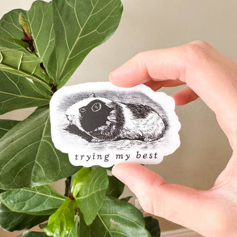 Hand holding a sticker with a hedgehog illustration and 'trying my best' text, against a leafy green background.