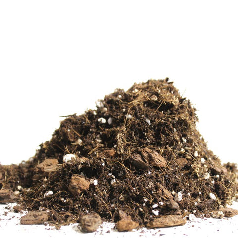 Aroid Blend- Potting Soil For Indoor Plants