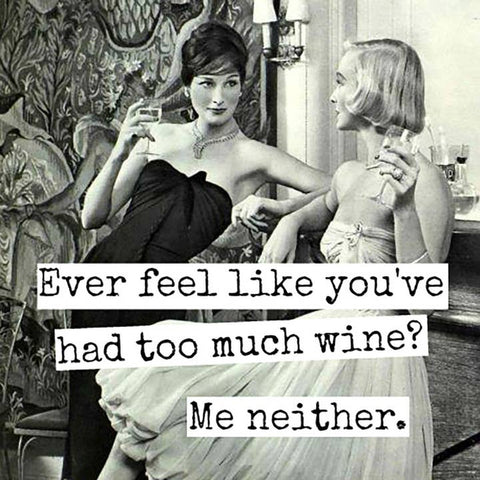 Ever Feel Like You've Had Too Much Wine? Magnet - Magnet - Raven's Rest Studio