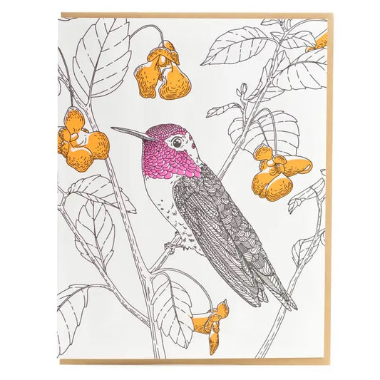 Porchlight Letterpress - Hummingbird Greeting Card