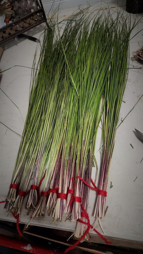 Bundles of green plants tied with red string on a white surface