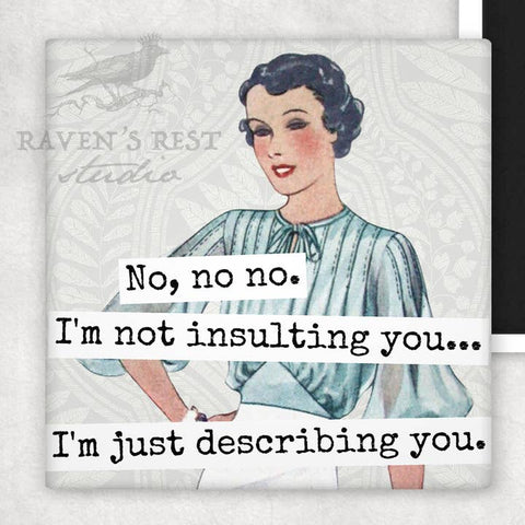 I'm Not Insulting You Magnet - Magnet - Raven's Rest Studio